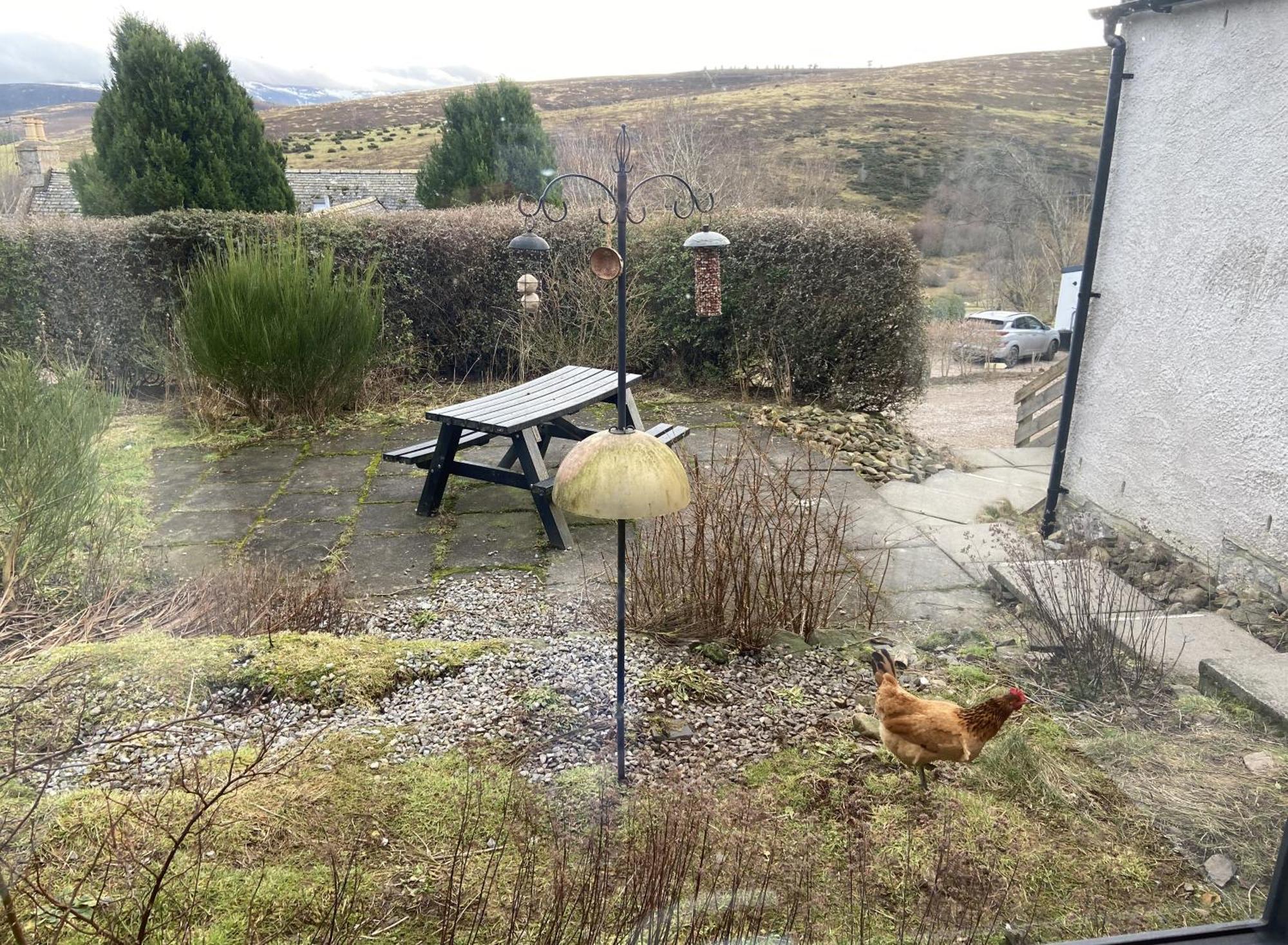 Easter Corrie Cottages Ballindalloch Exterior foto
